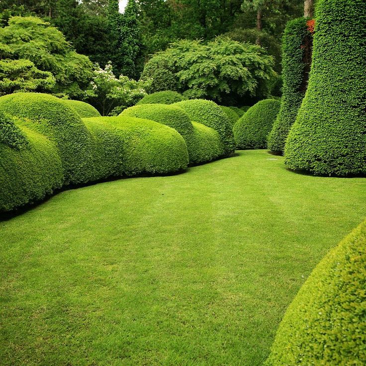 7a6de0266db9576e34e469757beb923d